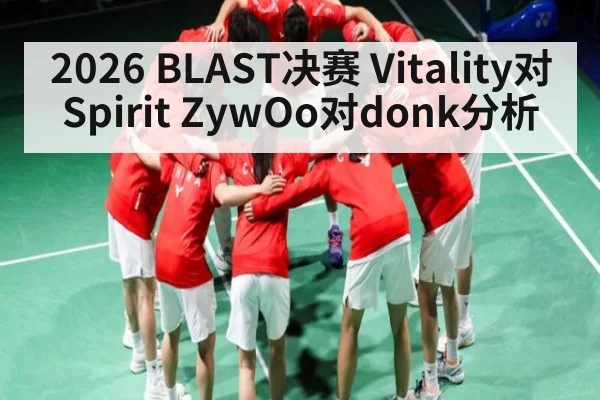 2026 BLAST决赛 Vitality对Spirit ZywOo对donk分析（KAIYUN APP）