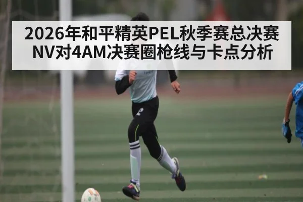 2026年和平精英PEL秋季赛总决赛NV对4AM决赛圈枪线与卡点分析 - KAIYUN APP